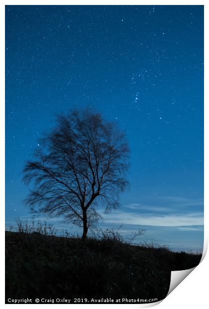Lone Tree Under A Starry Sky Print by Craig Oxley