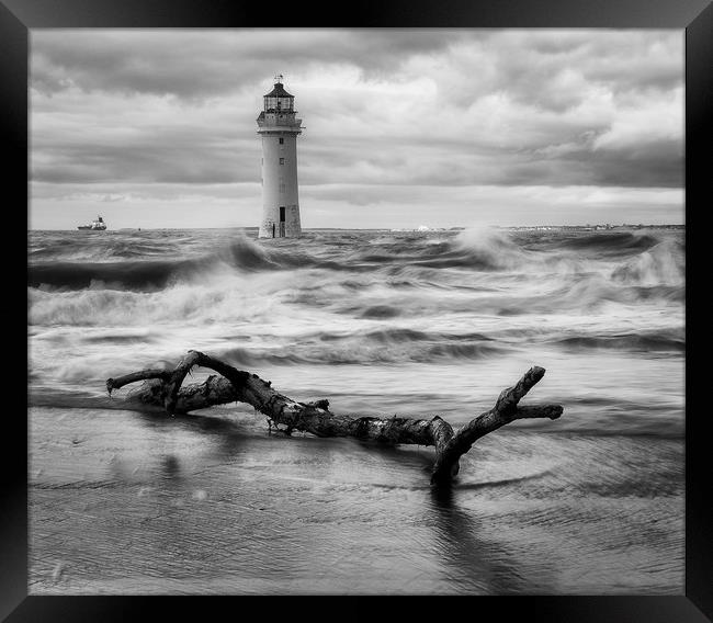 Perch Rock Mono Framed Print by Ray Tickle