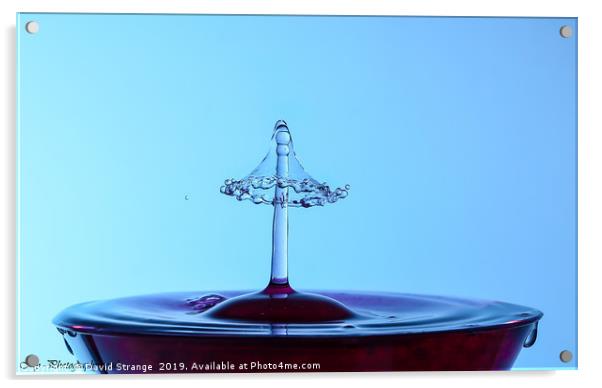 Bell waterdrop Acrylic by David Strange