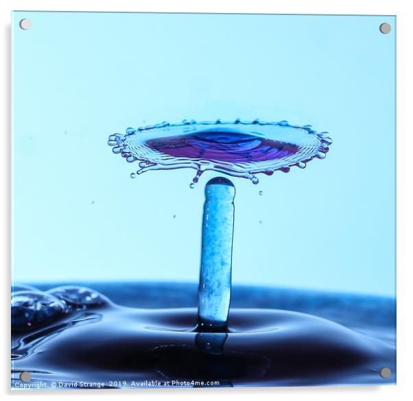 Purple waterdrop spinning top Acrylic by David Strange