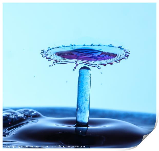 Purple waterdrop spinning top Print by David Strange