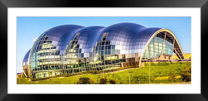 The Sage Framed Mounted Print by Naylor's Photography