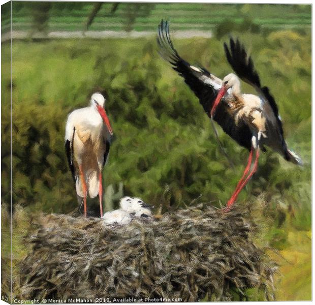 Storks waiting for food on their nest. Canvas Print by Monica McMahon