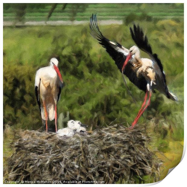 Storks waiting for food on their nest. Print by Monica McMahon
