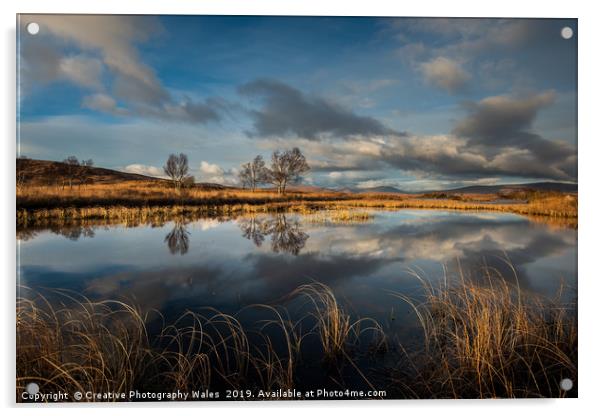 Rannoch Moor and Glencoe Landscape. Scotland Image Acrylic by Creative Photography Wales