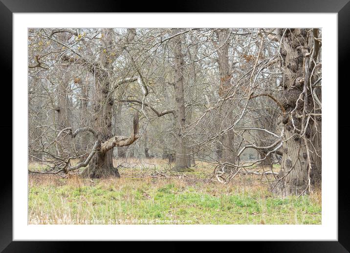 Enchanted Forest in Bloom Framed Mounted Print by Heidi Hennessey