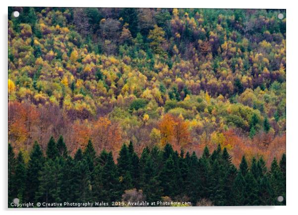 Snowdonia autumn Forest Acrylic by Creative Photography Wales