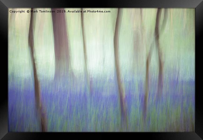 Bluebell Impressions Framed Print by Mark Tomlinson