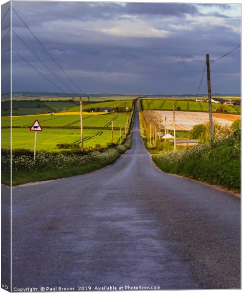 Rural Road in Dorset Canvas Print by Paul Brewer