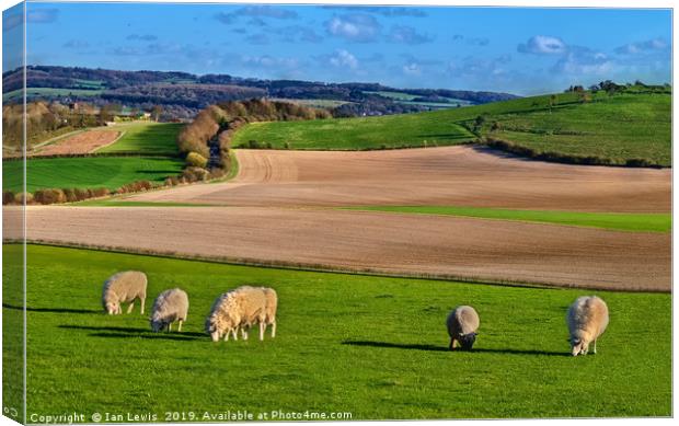 The Berkshire Downs In Springtime Canvas Print by Ian Lewis