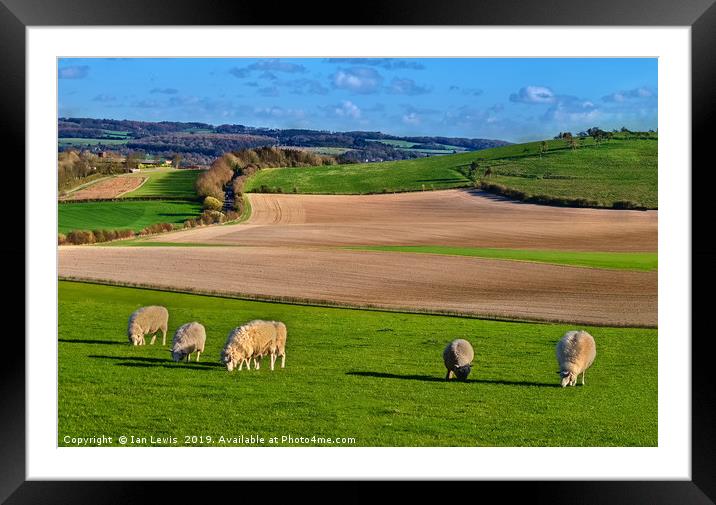 The Berkshire Downs In Springtime Framed Mounted Print by Ian Lewis