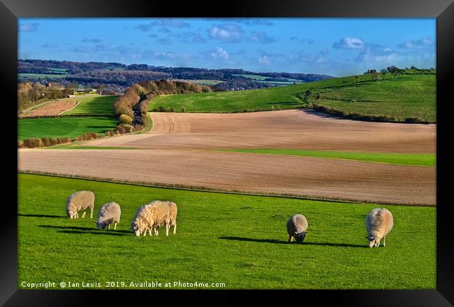 The Berkshire Downs In Springtime Framed Print by Ian Lewis