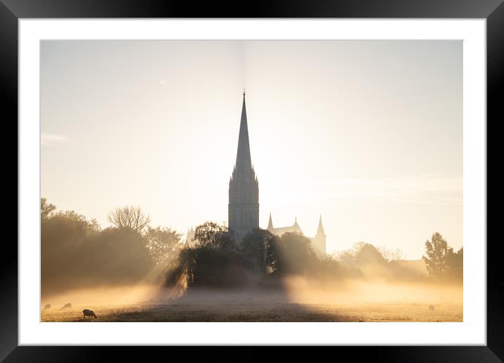 Misty morning in Salisbury Framed Mounted Print by Richard Newton