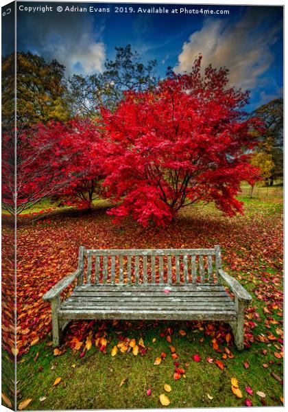Autumn Splendour Canvas Print by Adrian Evans