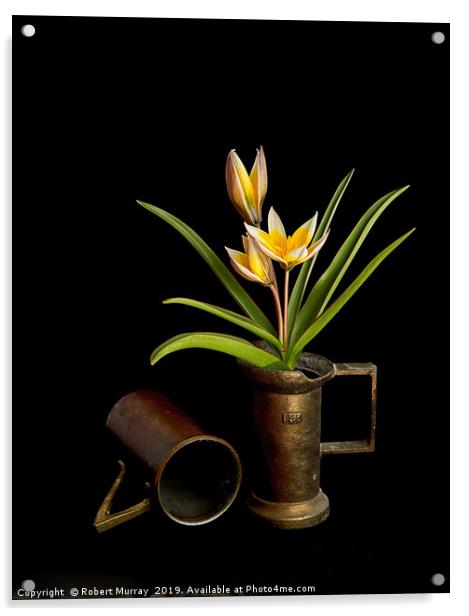 Tulip in old copper cup Acrylic by Robert Murray