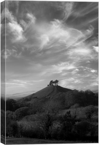 Colmer's Hill Black and White Canvas Print by David Neighbour