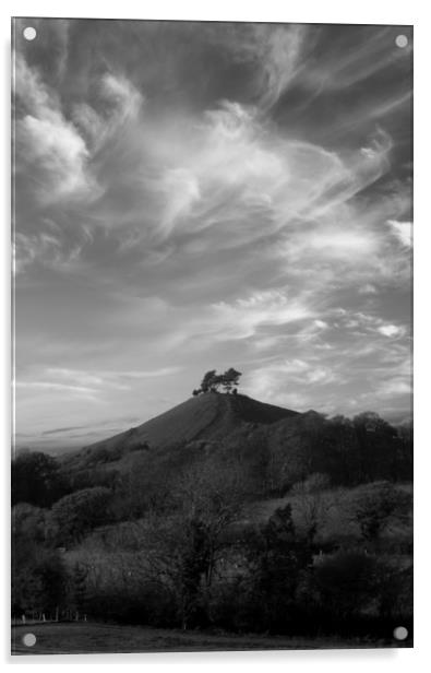 Colmer's Hill Black and White Acrylic by David Neighbour