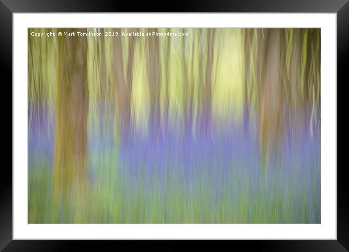 Bluebell Impressions 2 Framed Mounted Print by Mark Tomlinson