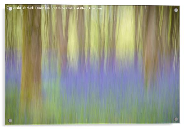 Bluebell Impressions 2 Acrylic by Mark Tomlinson