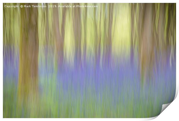 Bluebell Impressions 2 Print by Mark Tomlinson