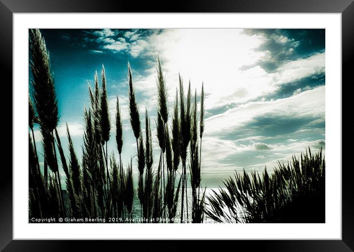 Relax Framed Mounted Print by Graham Beerling