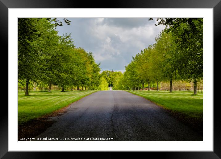 Avenue of trees at Lamer tree Framed Mounted Print by Paul Brewer