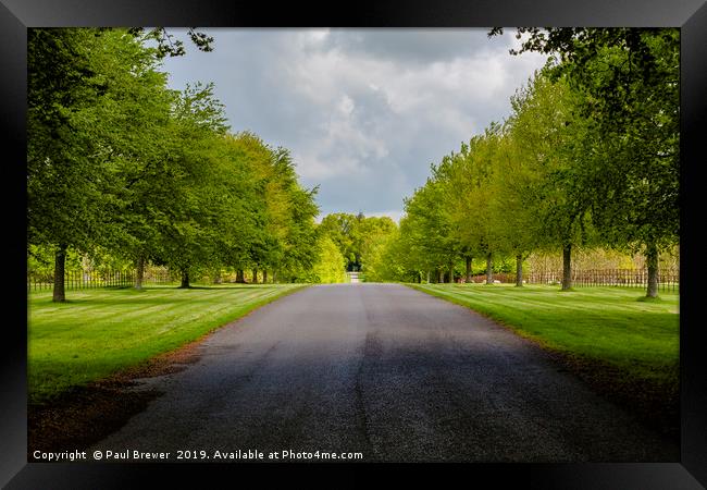 Avenue of trees at Lamer tree Framed Print by Paul Brewer