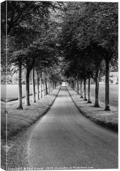 Avenue of Trees ar More Crichel in Clack and White Canvas Print by Paul Brewer