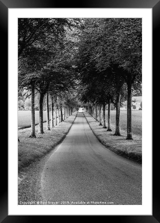 Avenue of Trees ar More Crichel in Clack and White Framed Mounted Print by Paul Brewer