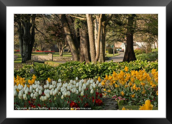 Trenance Gardens Newquay Framed Mounted Print by Diane Griffiths
