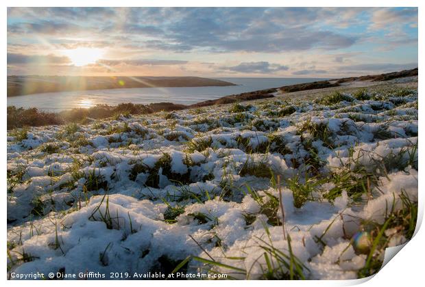 Crantock under Snow Print by Diane Griffiths