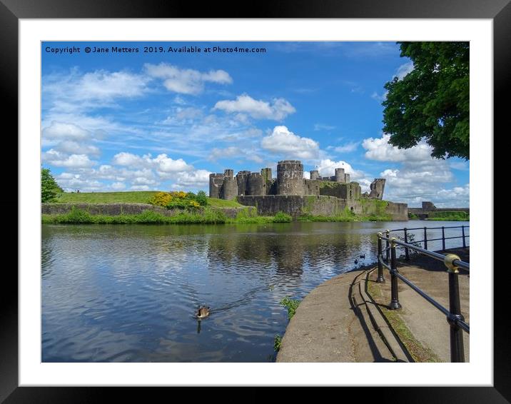 Wildlife on the Moat Framed Mounted Print by Jane Metters