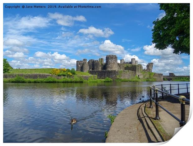 Wildlife on the Moat Print by Jane Metters