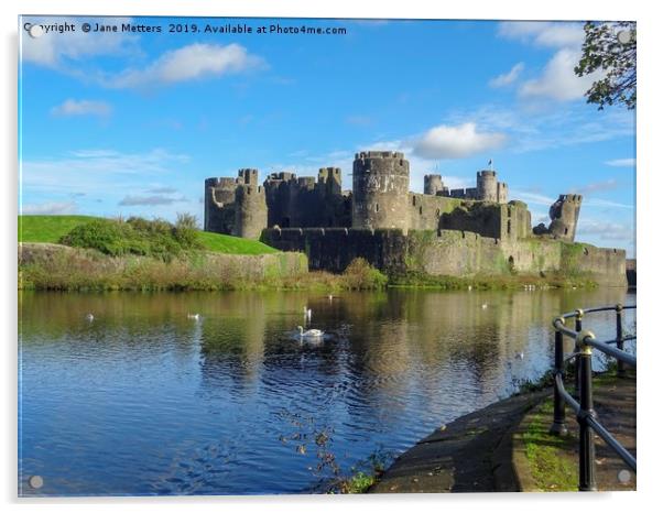 Caerphilly Castle Wildlife Acrylic by Jane Metters