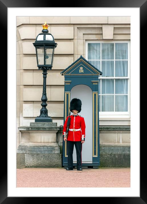Guard to the Buckingham Palace Framed Mounted Print by Svetlana Sewell