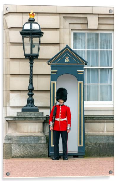 Guard to the Buckingham Palace Acrylic by Svetlana Sewell
