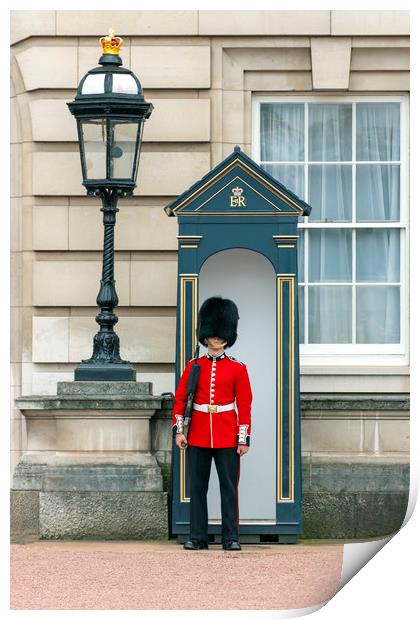 Guard to the Buckingham Palace Print by Svetlana Sewell