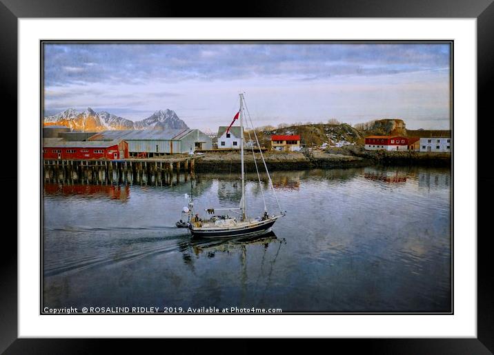 "Expedition boat at Svolvaer Norway" Framed Mounted Print by ROS RIDLEY