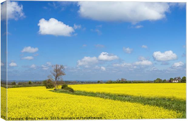 Rapeseed Field in the Cotswolds in Spring Canvas Print by Nick Jenkins