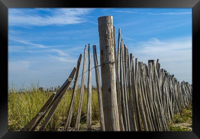 Beach fence Framed Print by Clive Wells