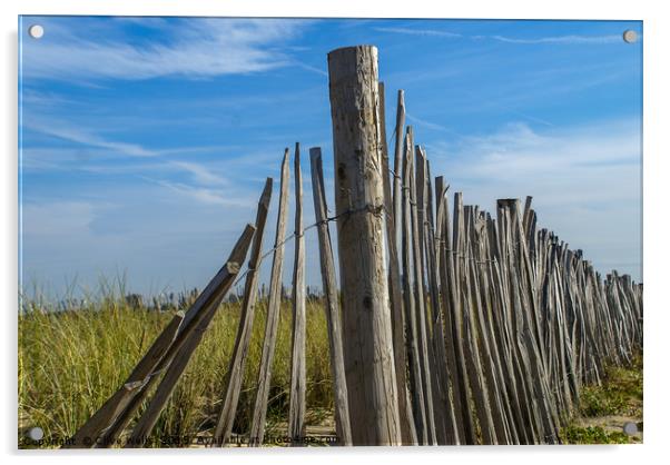 Beach fence Acrylic by Clive Wells
