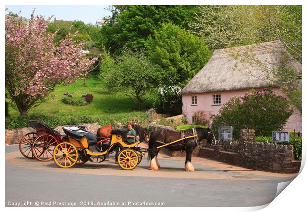 Horse and Carriages at Cockington Print by Paul F Prestidge