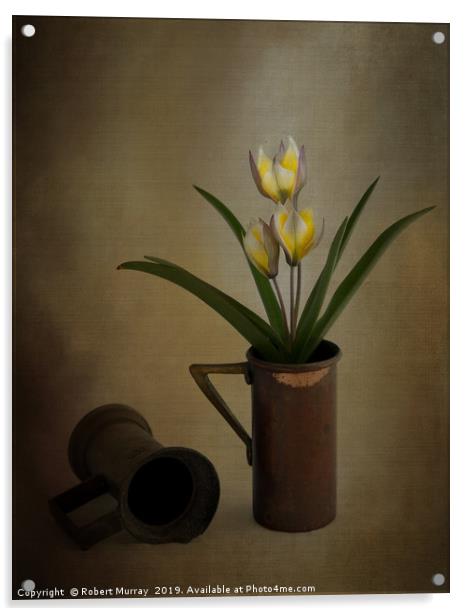 Tulip in old copper cup 2 Acrylic by Robert Murray