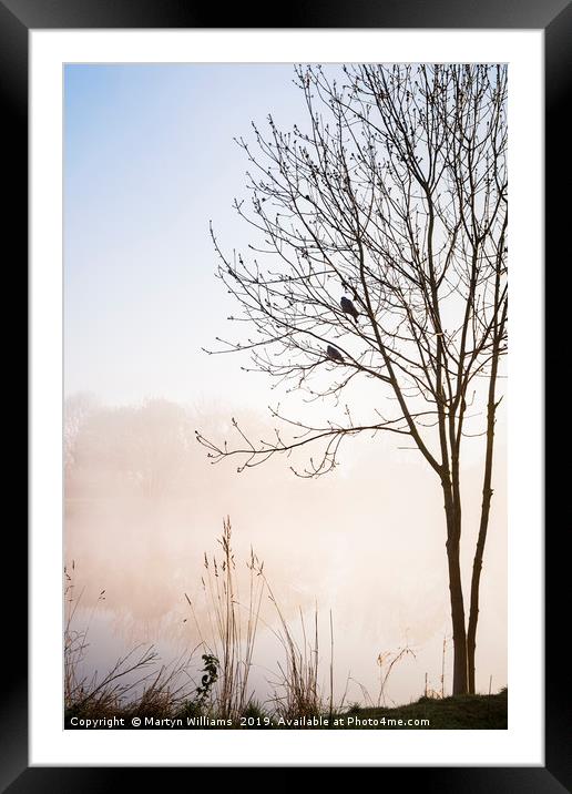 Two Birds, Misty Morning Framed Mounted Print by Martyn Williams