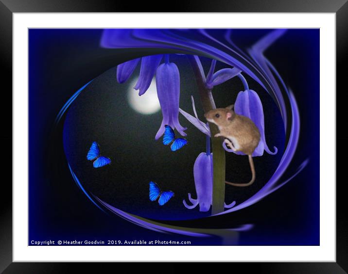 Butterfly Moon Framed Mounted Print by Heather Goodwin