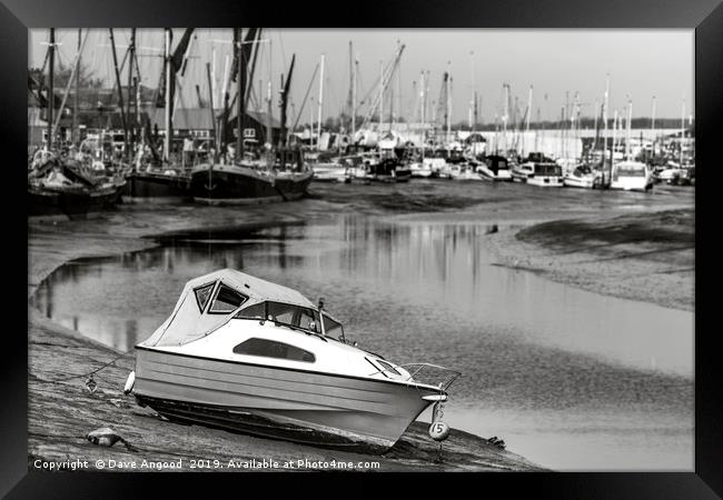 Beached Framed Print by Dave Angood