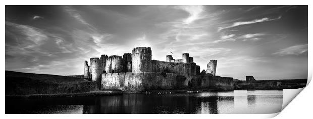 Caerphilly Castle  Print by paul holt