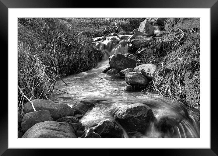 Stream in Black and White Framed Mounted Print by Gavin Liddle