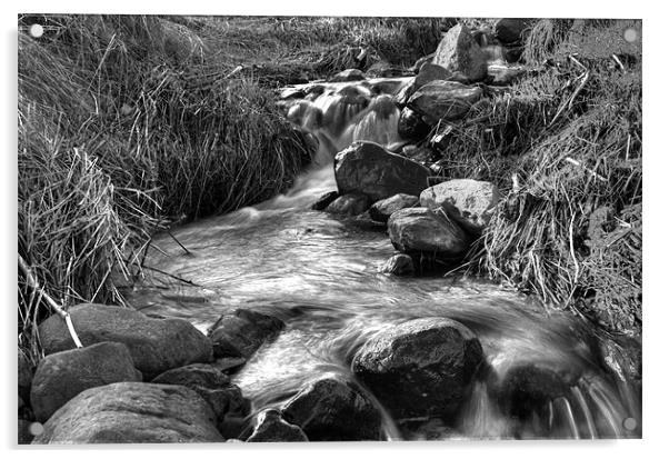 Stream in Black and White Acrylic by Gavin Liddle