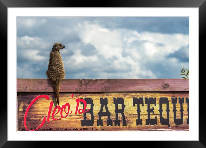Meerkat sitting on bar sign Framed Mounted Print by Clive Wells